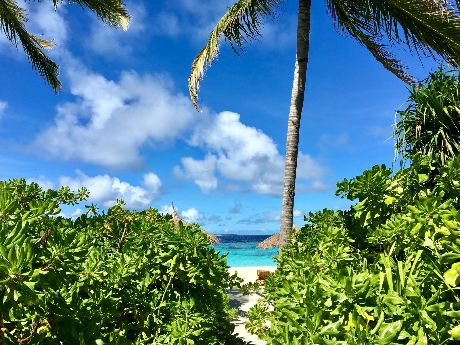 43E2EAE5 EA3E 4455 B9C6 EBE74101B406 1 201 a