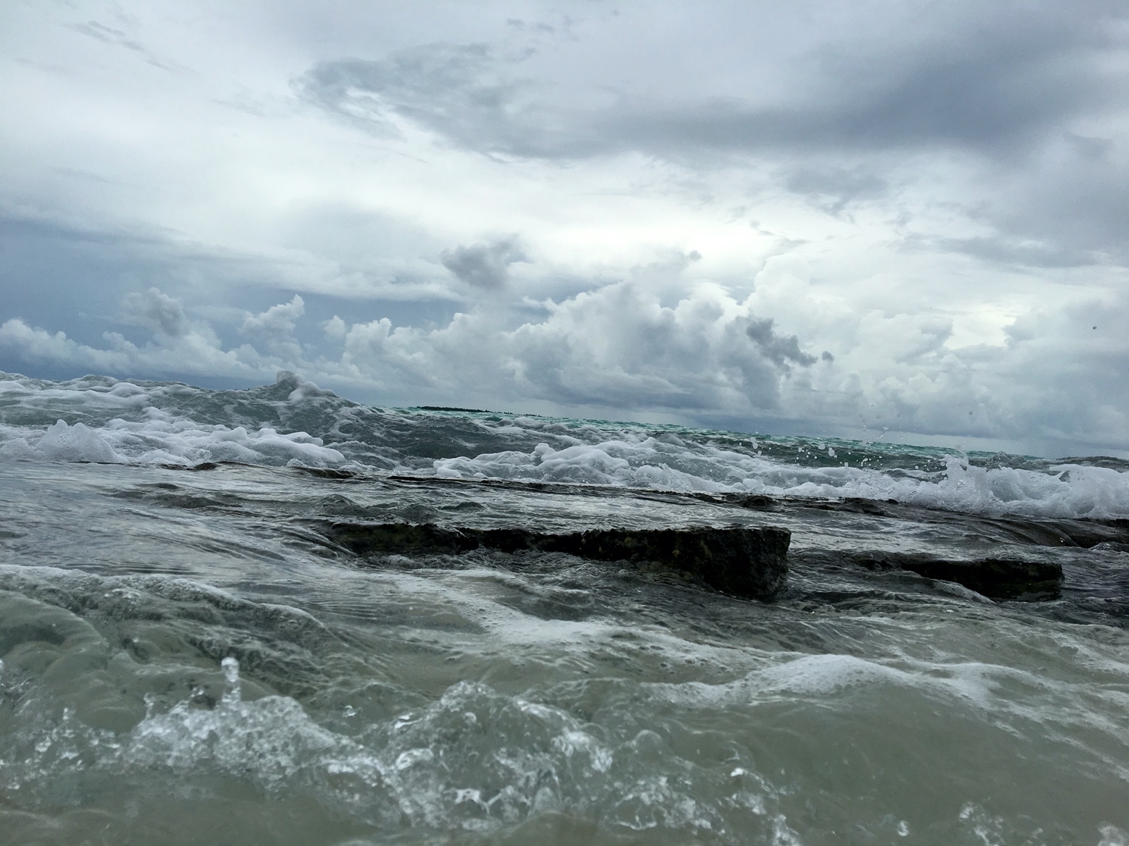 50090183 74D5 441C BCD8 BBA2F04AEDE1 1 201 a