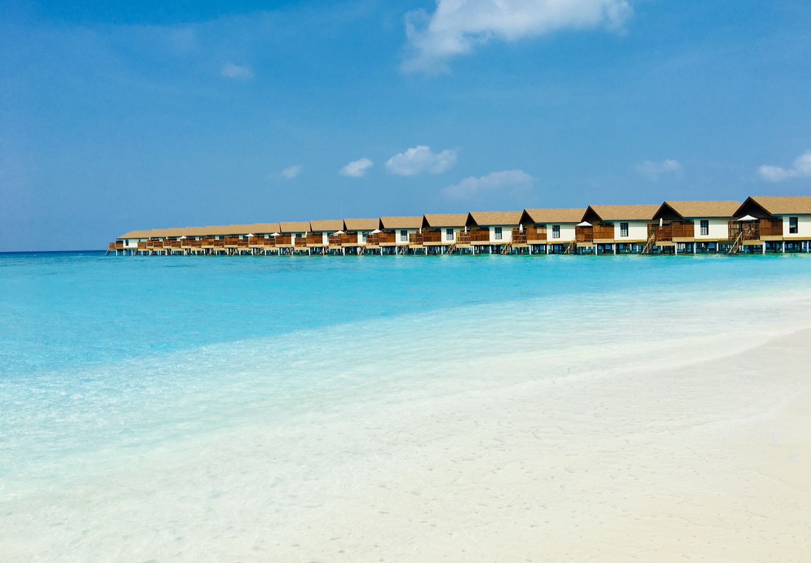 50F6733C 9255 4333 9D20 9804B3DF3421 1 201 a