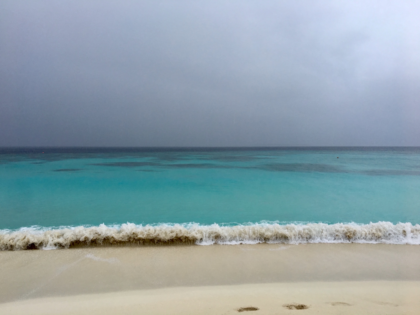 5BD88375 7347 4F13 9227 DE2009E8EB5E 1 201 a