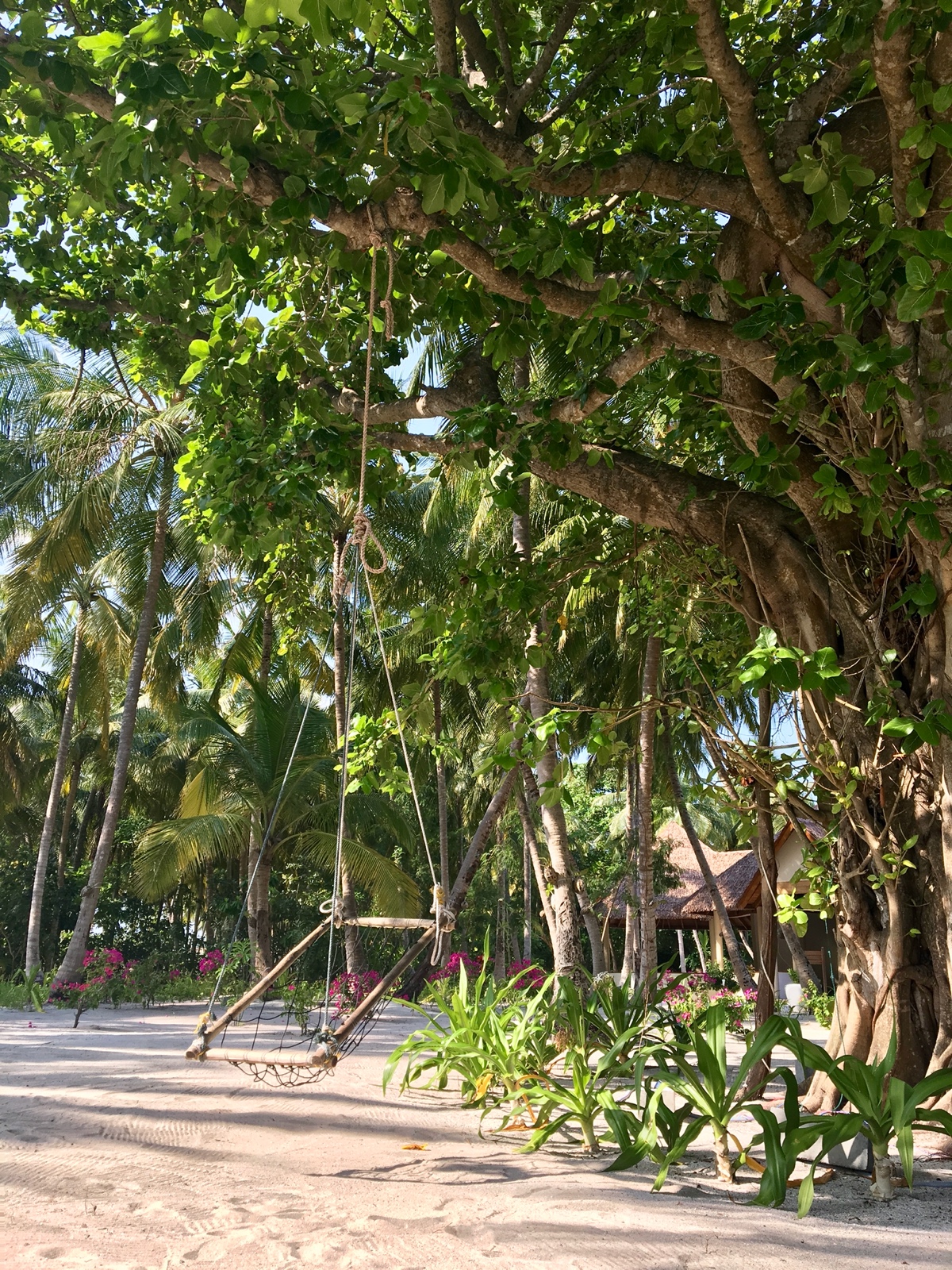 8F459E4A 8983 49F7 8162 AE4796C8793F 1 201 a